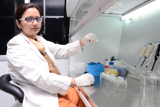 Molecular Immunology research