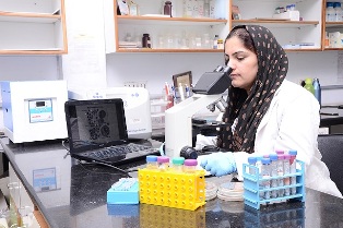 protein aggregation in cancer