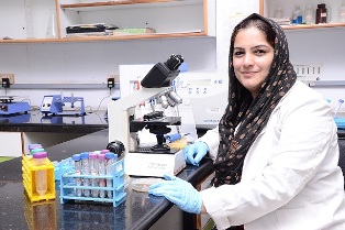 protein aggregation in cancer